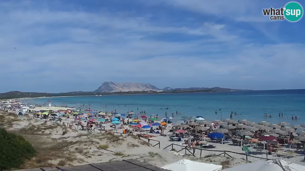 Plage de L’Isuledda – San Teodoro (OT) – Sardaigne