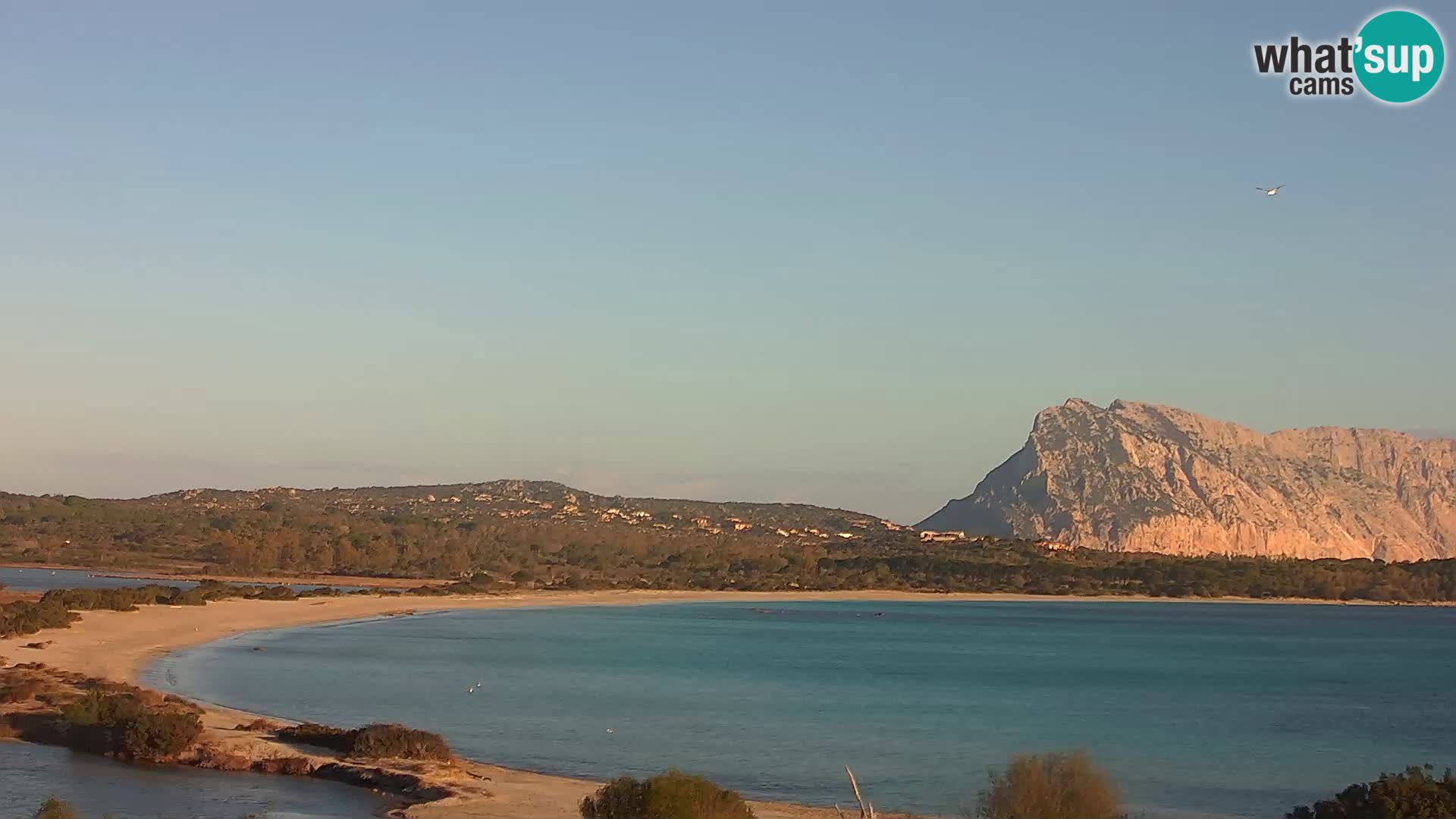 Live Webcam San Teodoro – LU Impostu – Sardinia – Italy