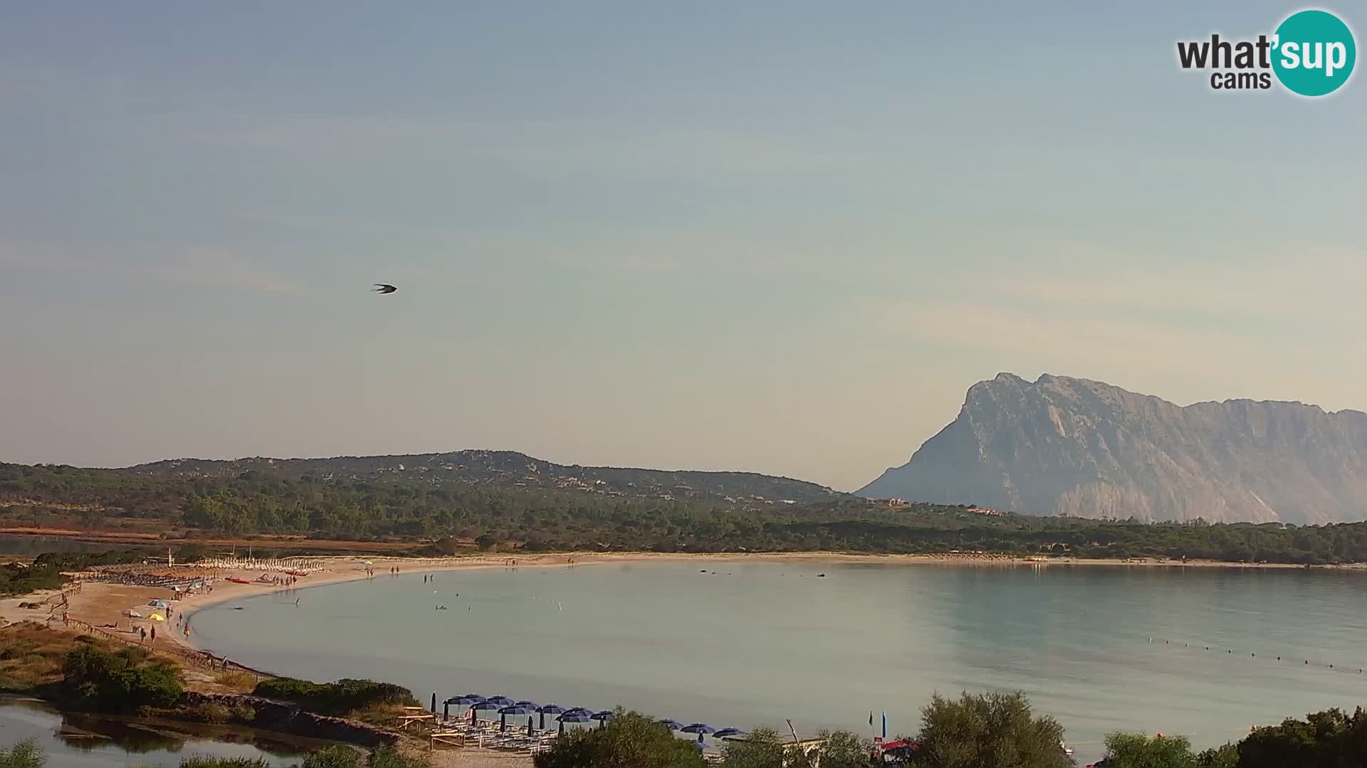 Livecam San Teodoro – LU Impostu – Sardaigne – Italie