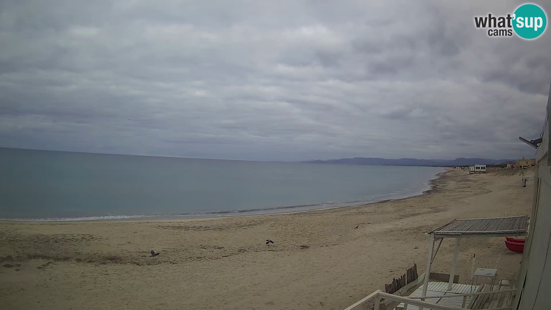 Webcam en vivo Playa Platamona – Sassari – Cerdeña – Italia