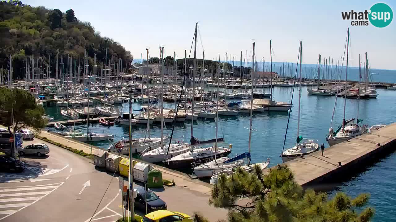 Webcam Sistiana – Vista sobre la marina y la bahía