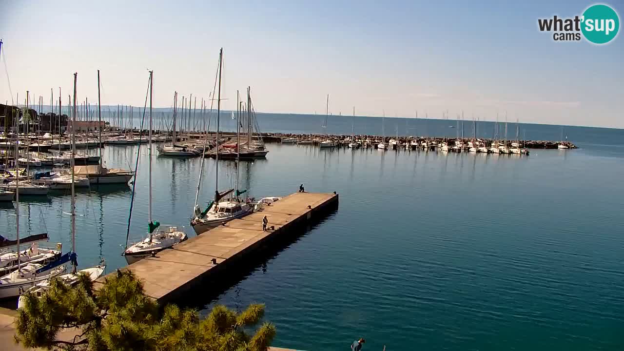 Webcam Sistiana – Marina and Bay Live View