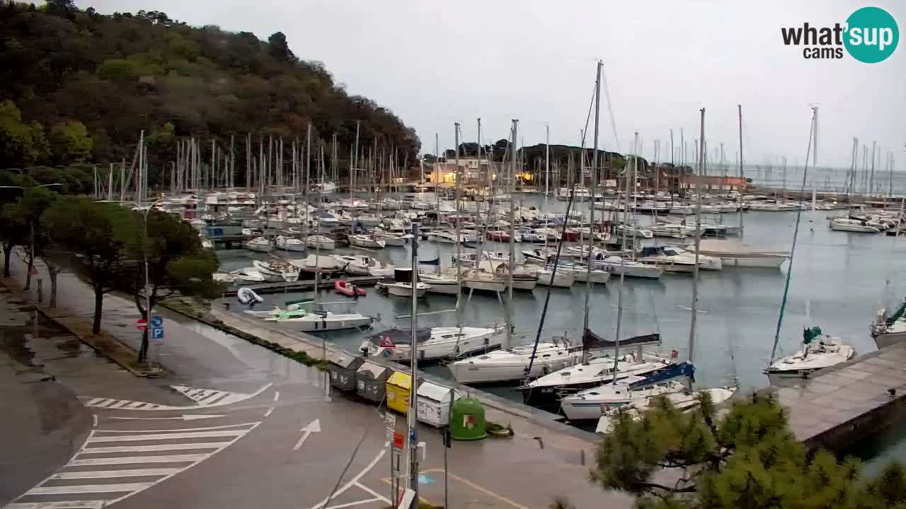 Webcam Sistiana – Pogled na marinu i zaljev