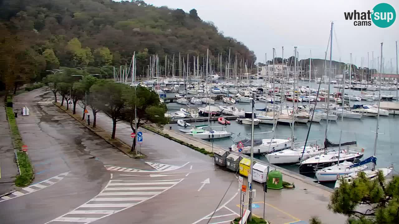 Webcam Sistiana – Pogled na marinu i zaljev