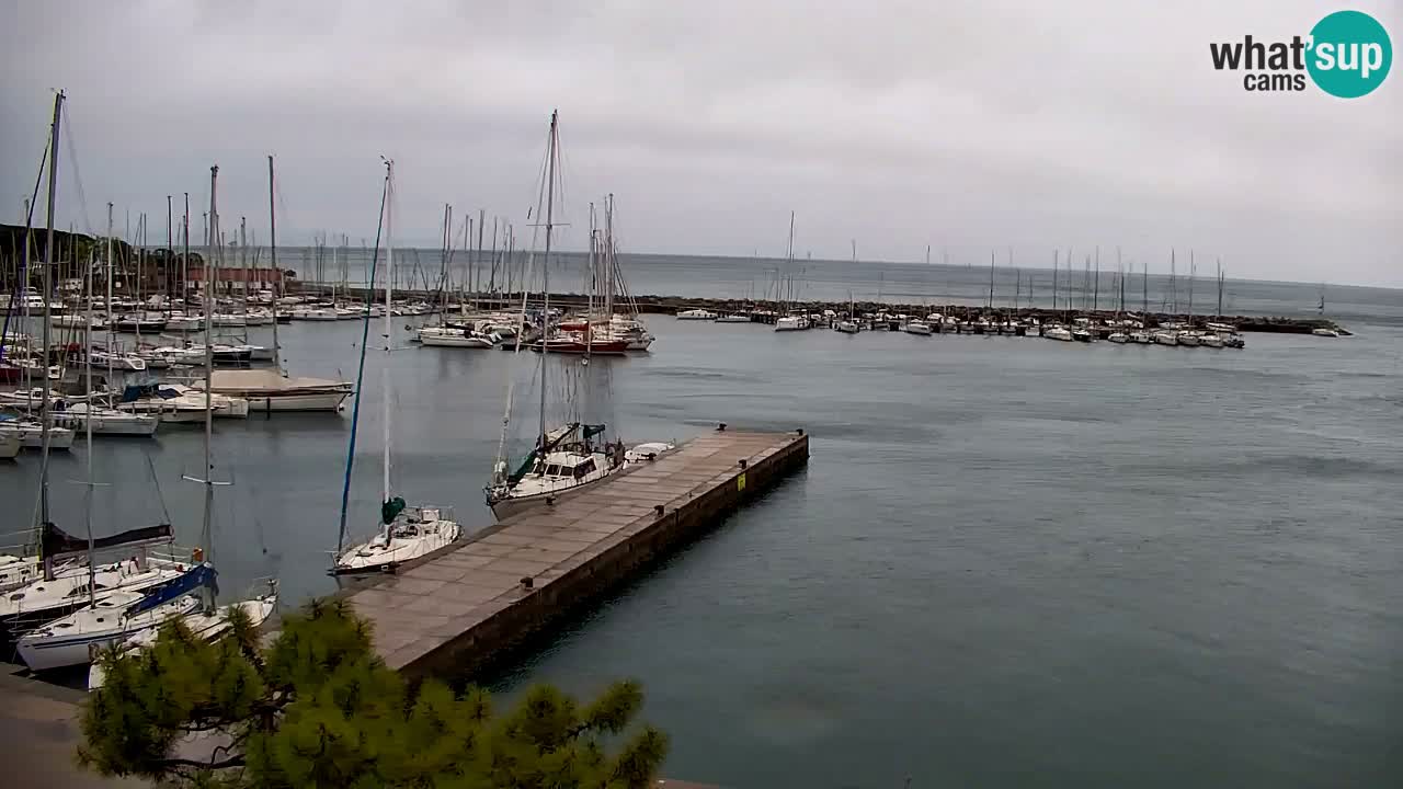 Webcam Sistiana – Blick auf Marina und Bucht