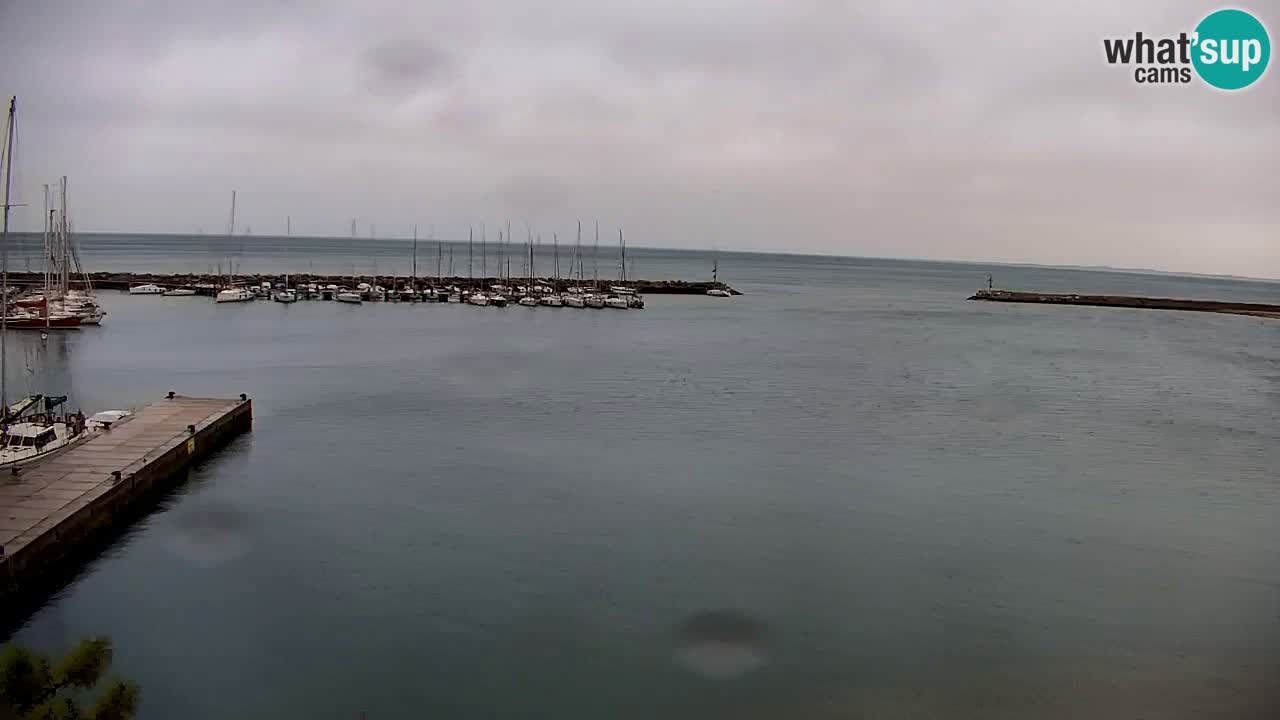 Webcam Sistiana – Pogled na marinu i zaljev