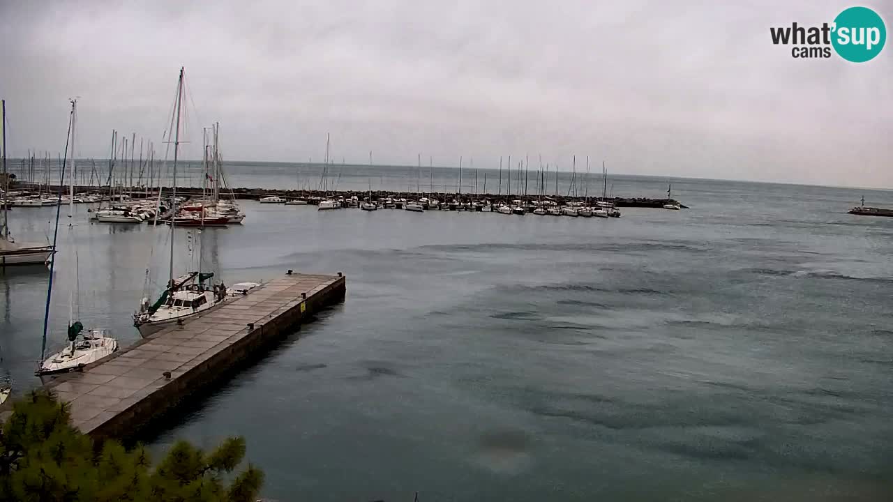 Webcam Sistiana – Vista sulla marina e sulla baia