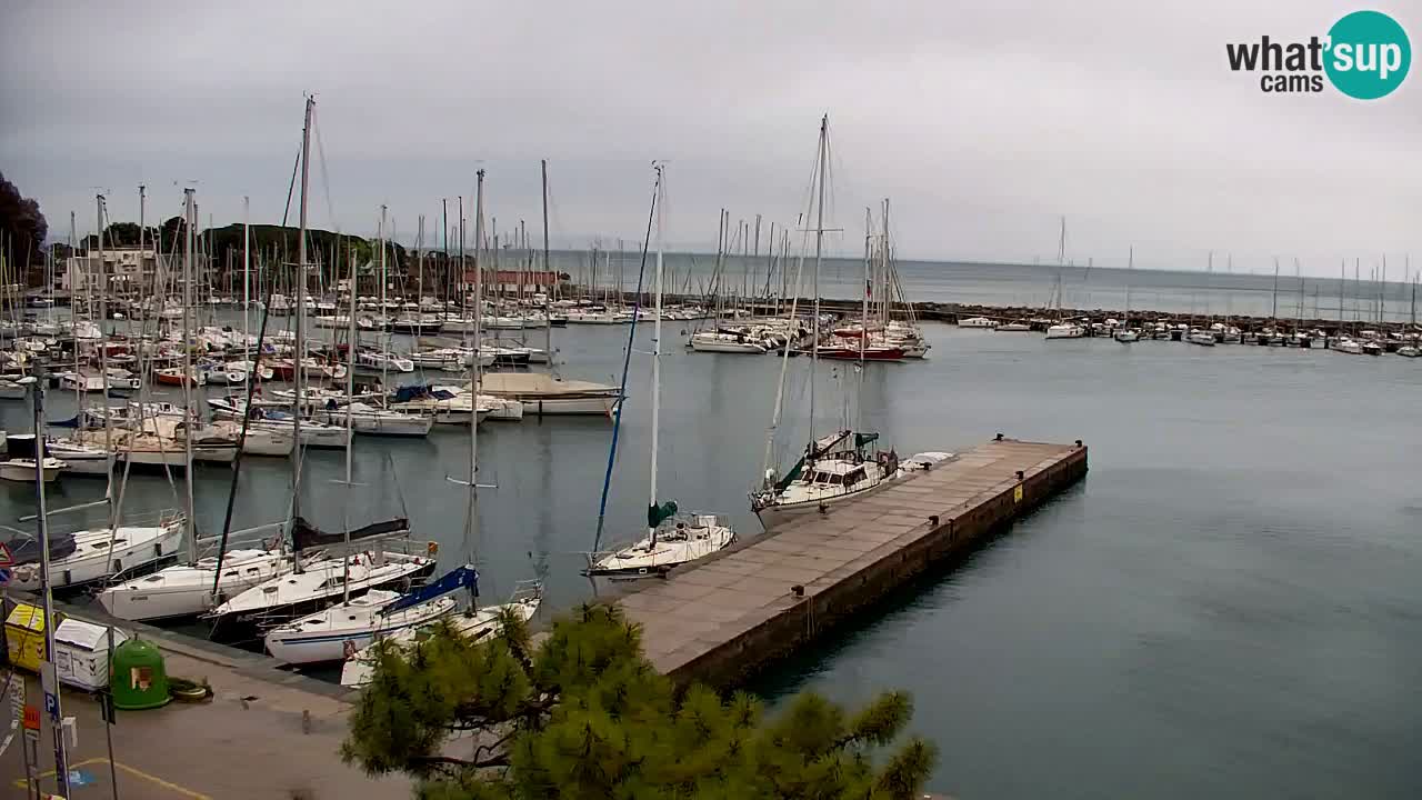 Webcam Sistiana – Marina and Bay Live View