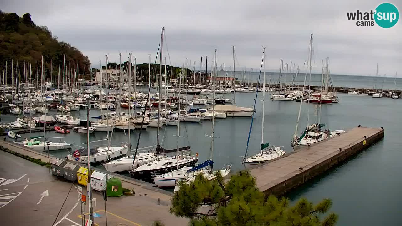 Webcam Sistiana – Marina and Bay Live View