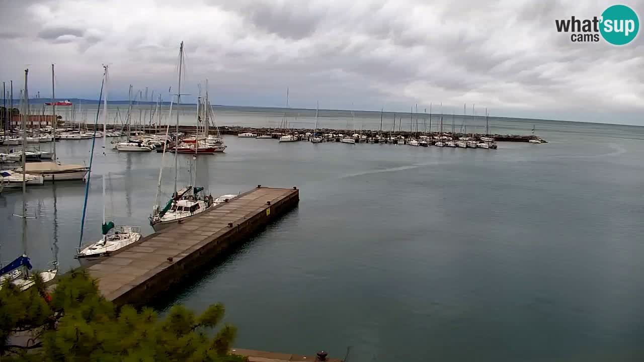 Webcam Sistiana – Marina and Bay Live View