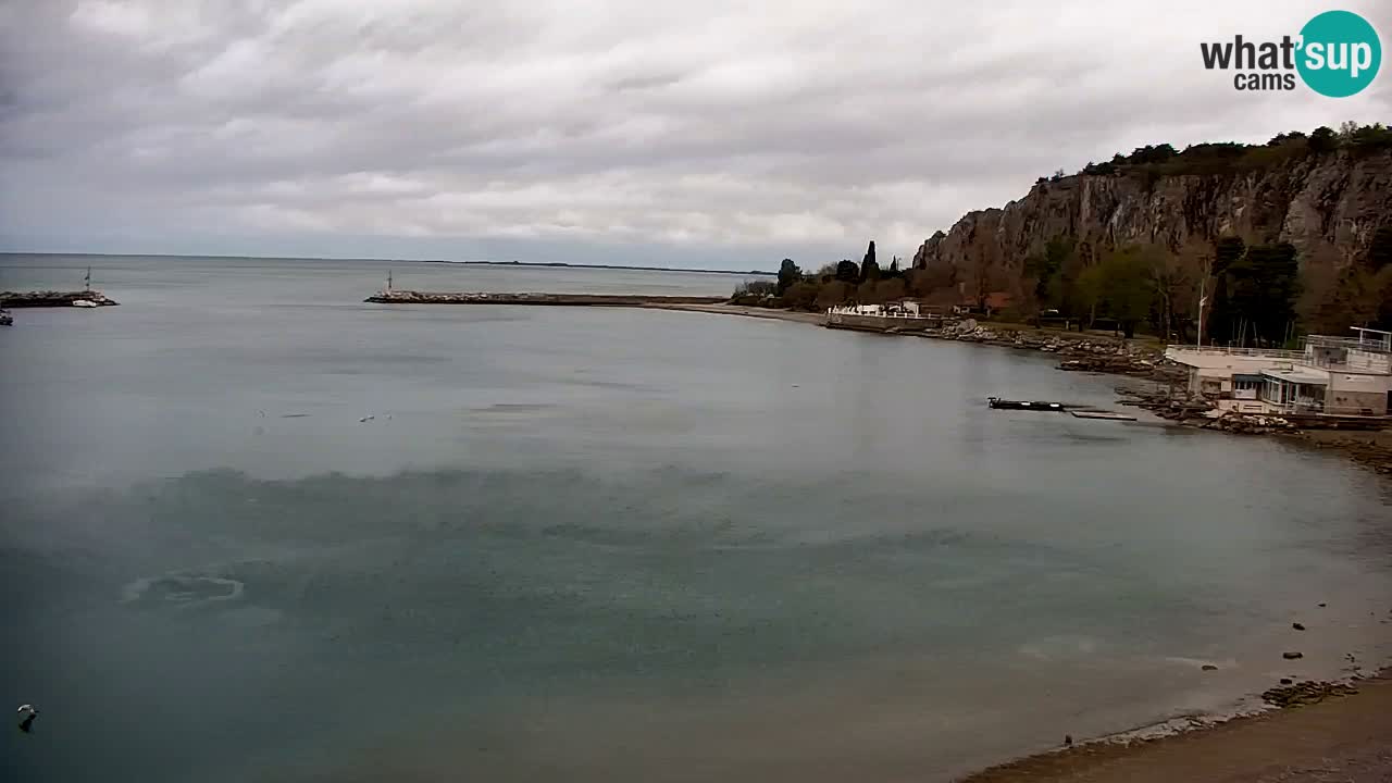 Webcam Sistiana – Blick auf Marina und Bucht