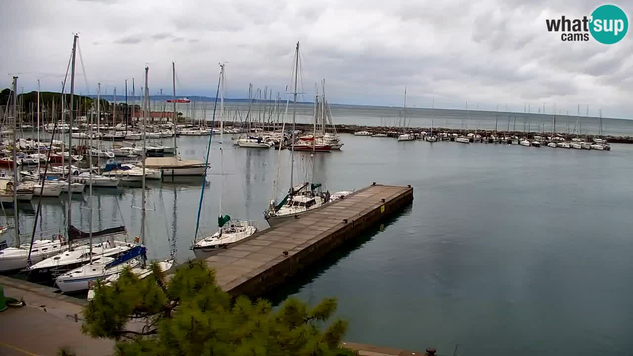 Webcam Sistiana – Vista sulla marina e sulla baia