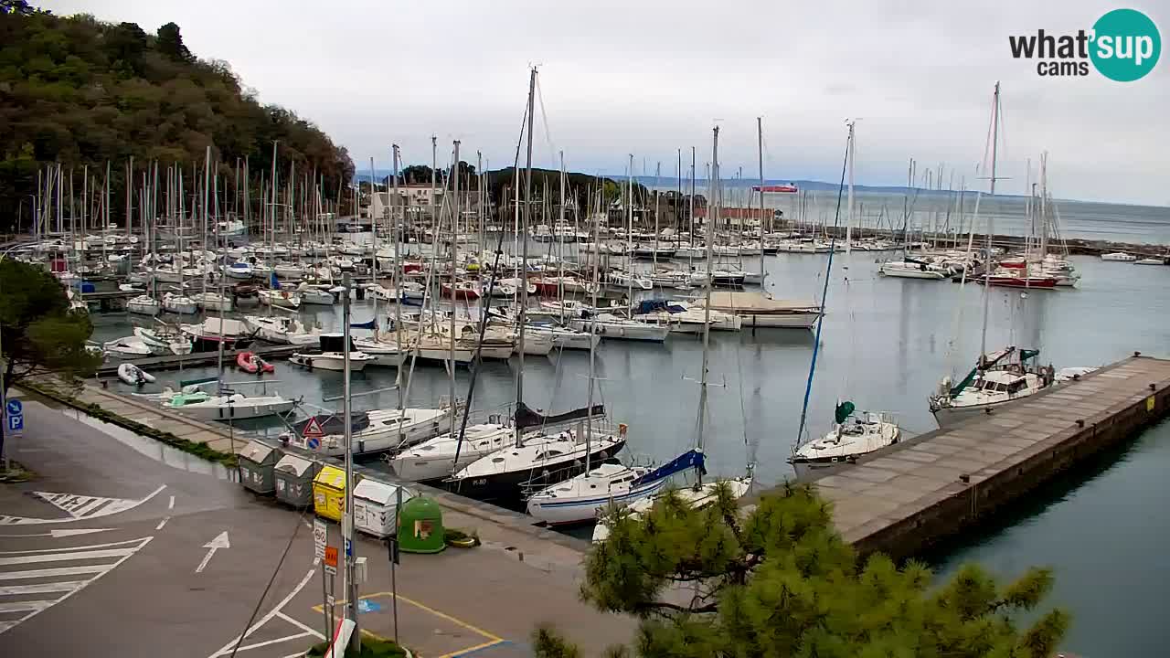 Webcam Sistiana – Pogled na marinu i zaljev