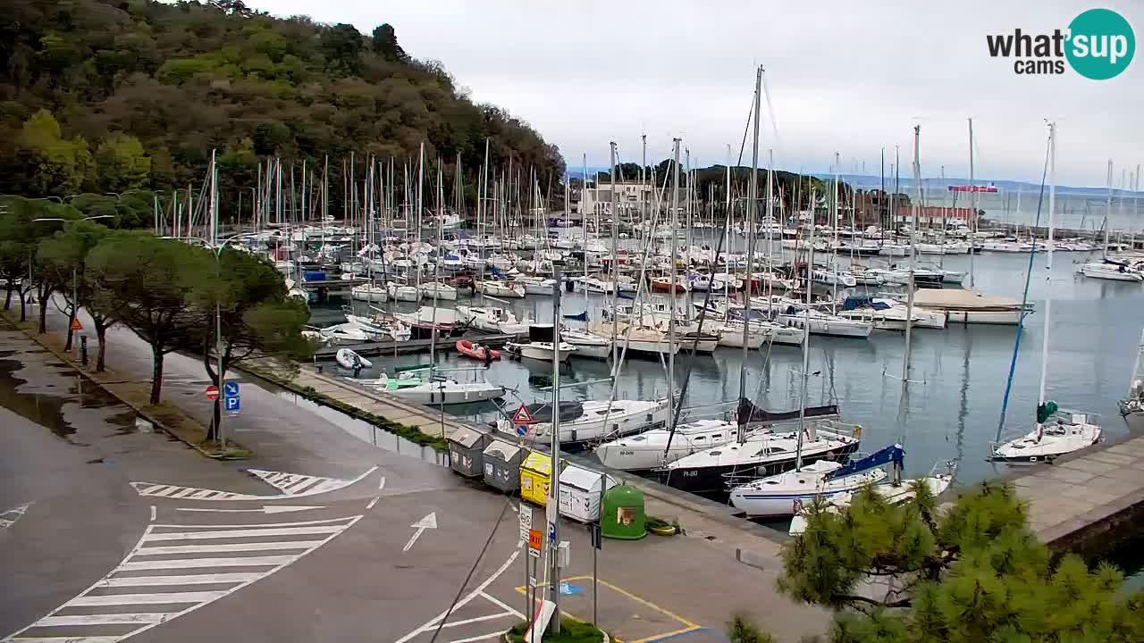 Spletna kamera Sesljan (Sistiana) – Pogled na marino in zaliv