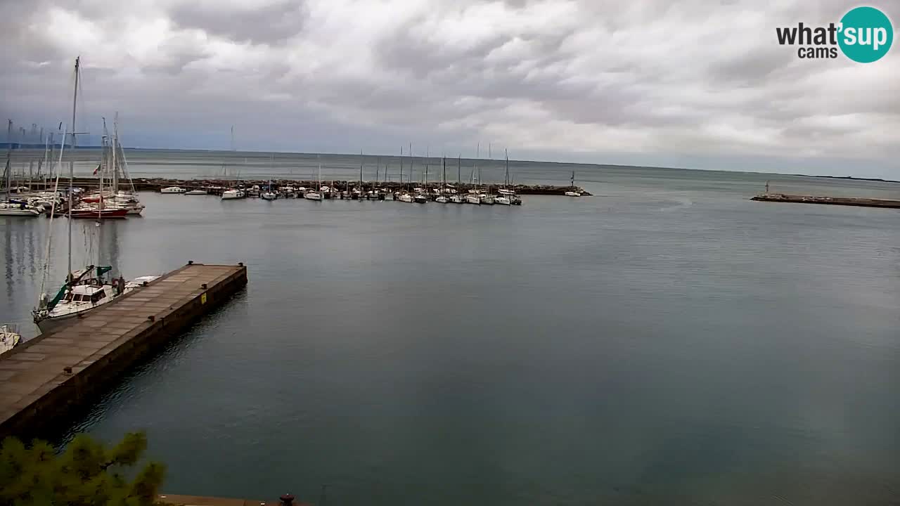 Webcam Sistiana – Blick auf Marina und Bucht