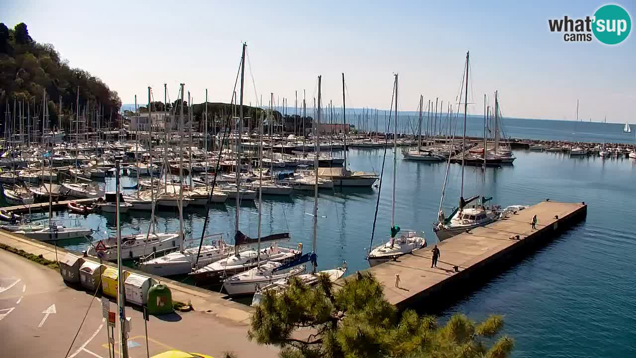 Webcam Sistiana – Pogled na marinu i zaljev