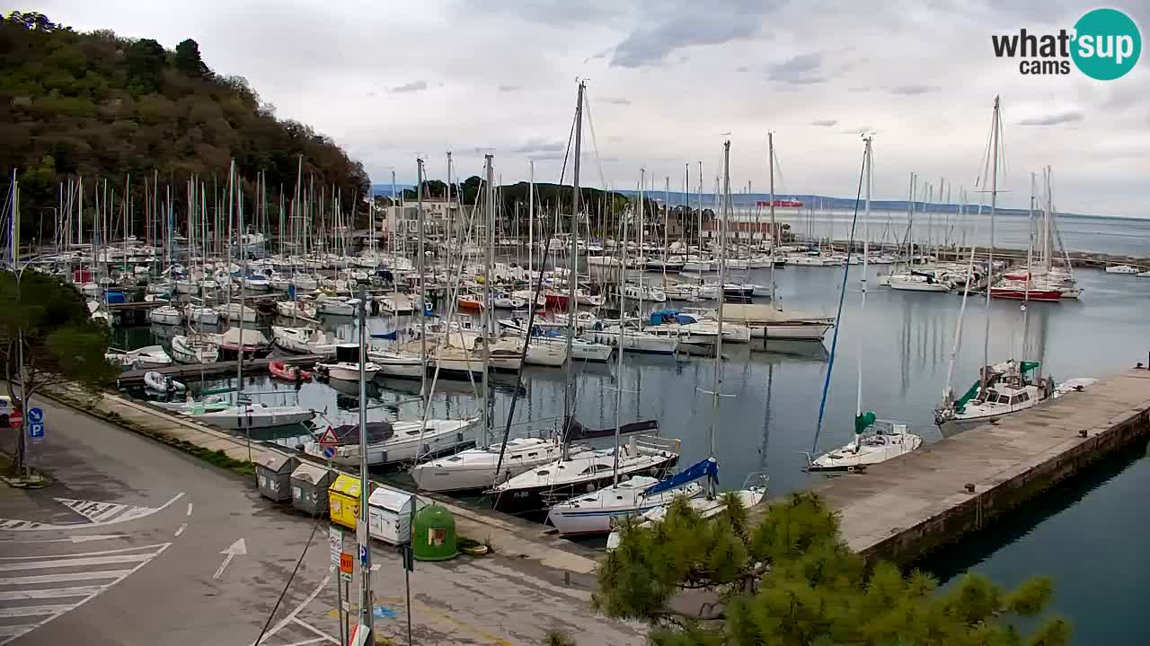 Webcam Sistiana – Blick auf Marina und Bucht
