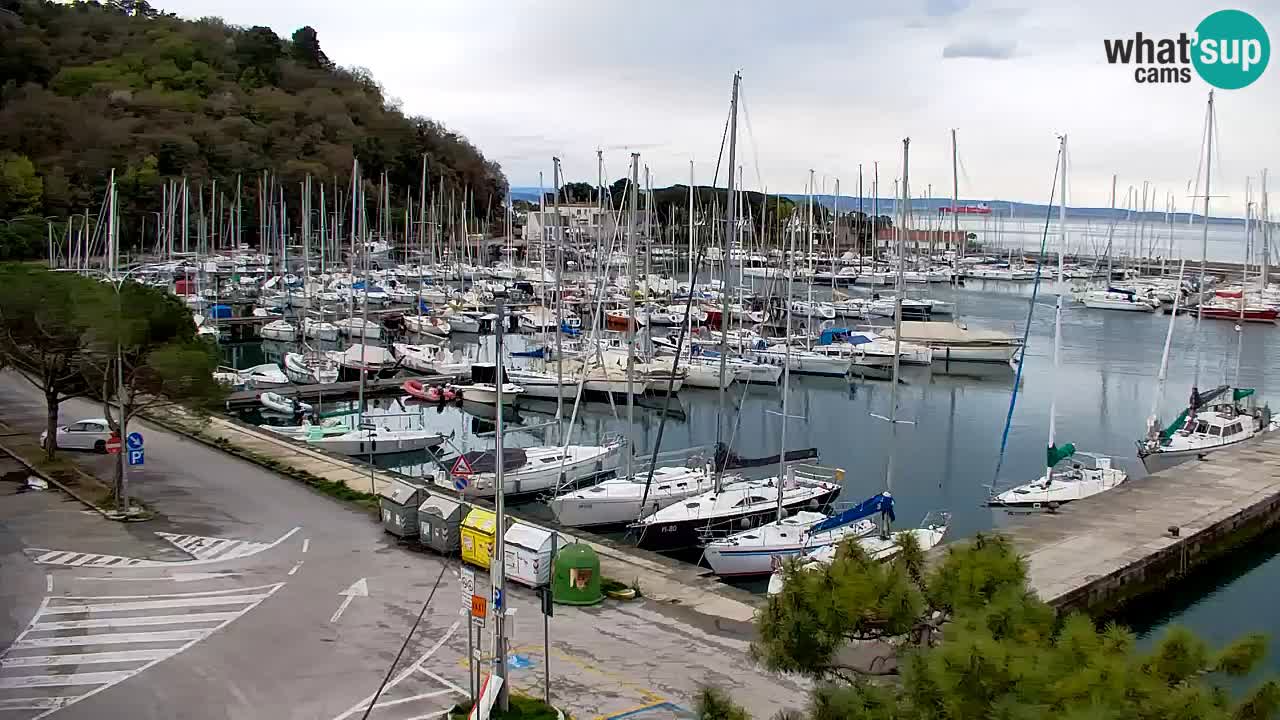 Webcam Sistiana – Marina and Bay Live View