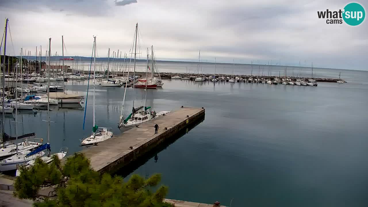 Webcam Sistiana – Marina and Bay Live View