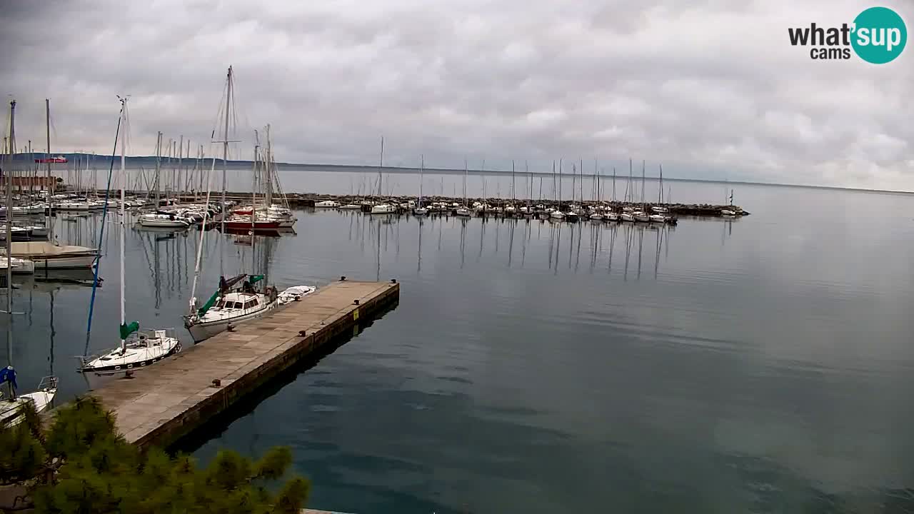 Webcam Sistiana – Marina and Bay Live View