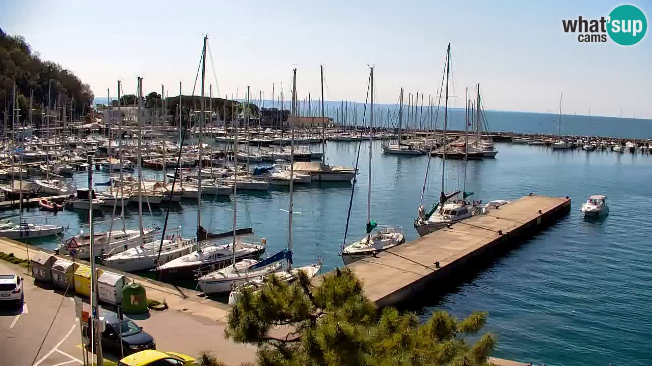 Webcam Sistiana – Marina and Bay Live View