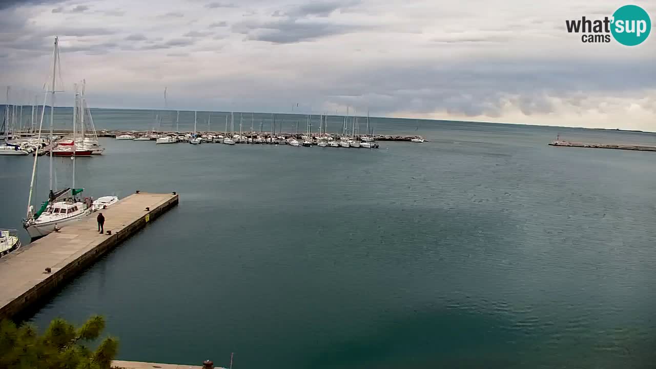 Webcam Sistiana – Vista sobre la marina y la bahía