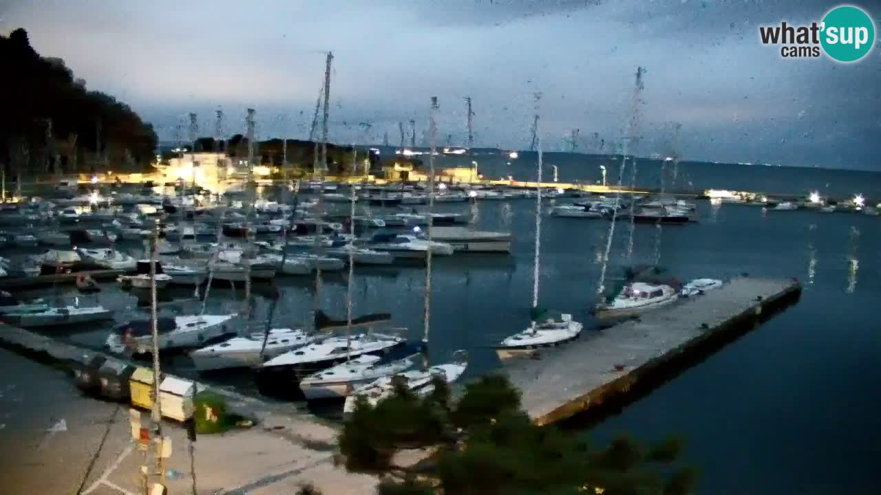 Webcam Sistiana – Pogled na marinu i zaljev