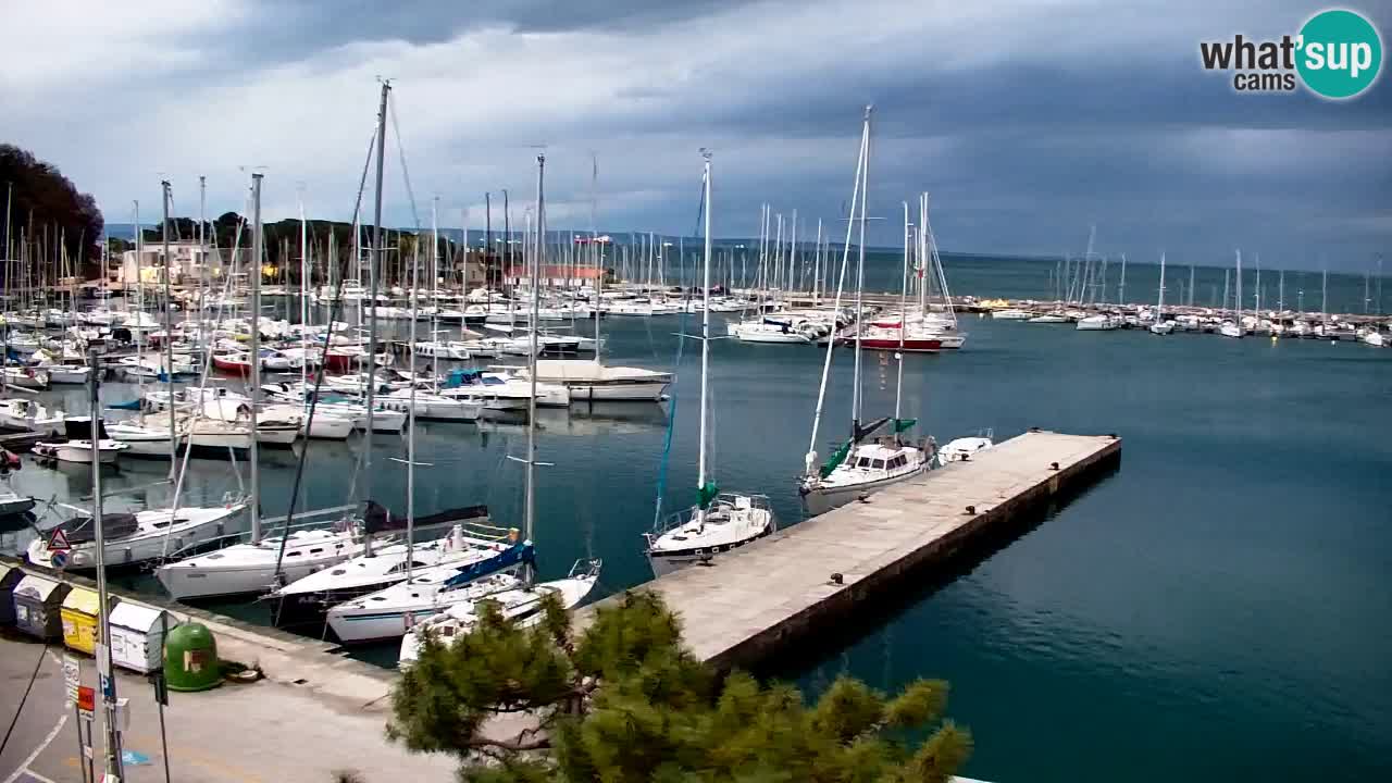 Webcam Sistiana – Pogled na marinu i zaljev