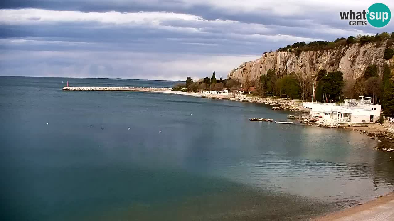 Spletna kamera Sesljan (Sistiana) – Pogled na marino in zaliv