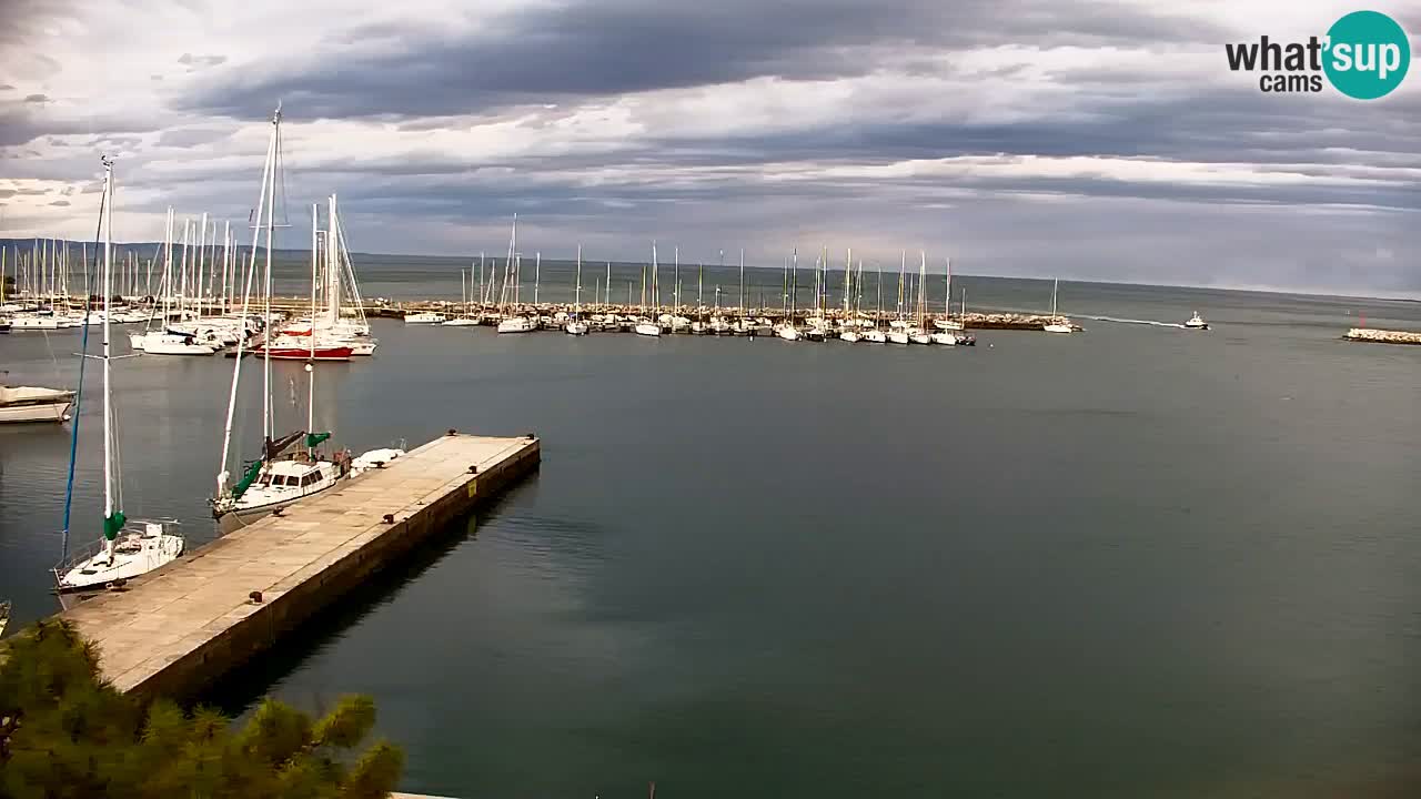 Webcam Sistiana – Pogled na marinu i zaljev