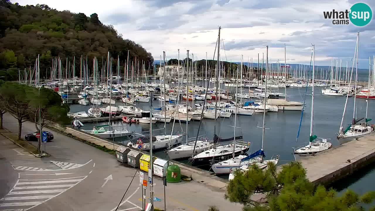 Webcam Sistiana – Marina and Bay Live View