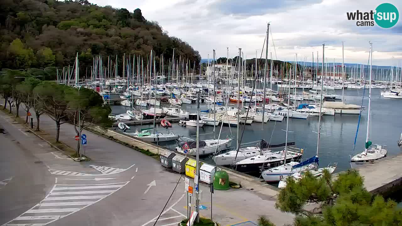 Webcam Sistiana – Vista sulla marina e sulla baia