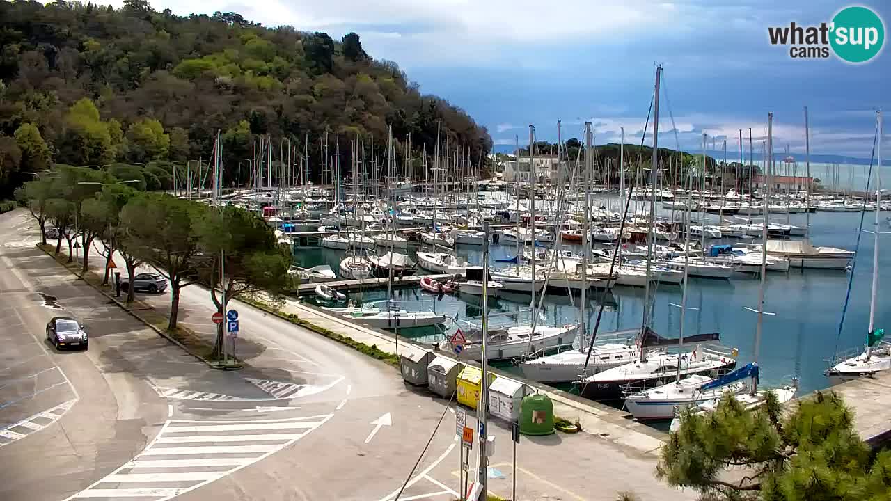 Webcam Sistiana – Marina and Bay Live View
