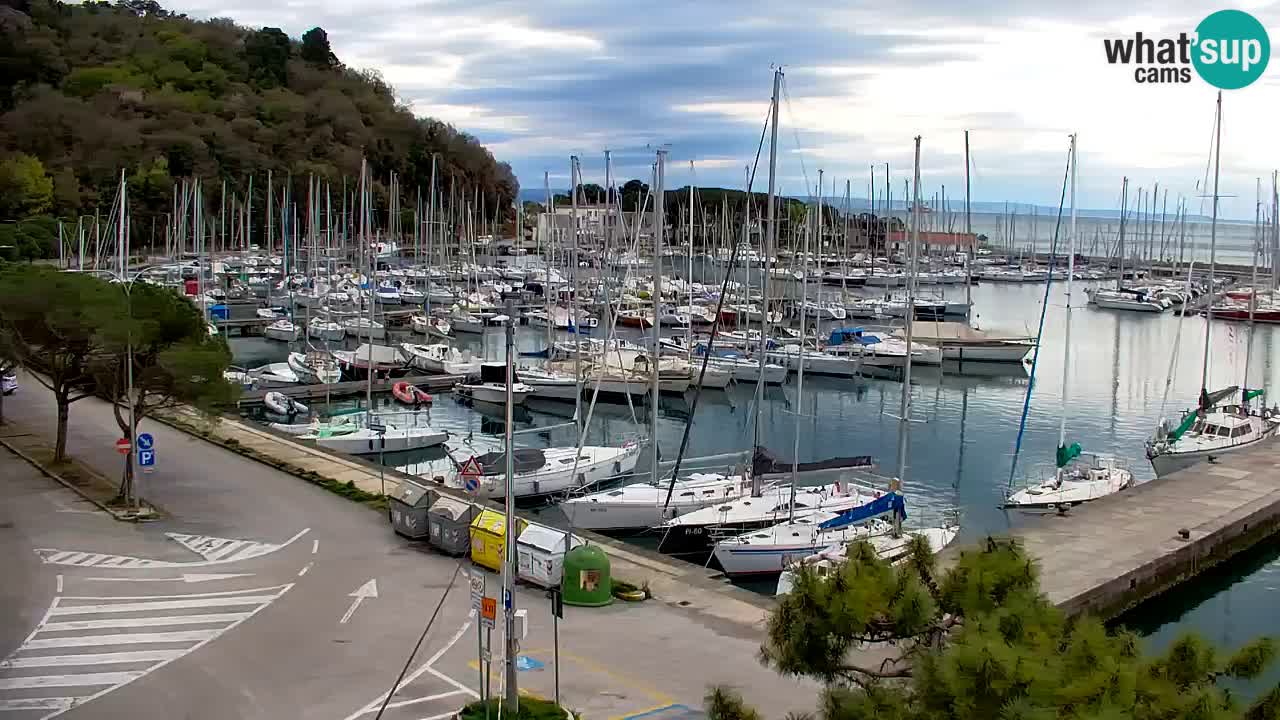 Webcam Sistiana – Pogled na marinu i zaljev