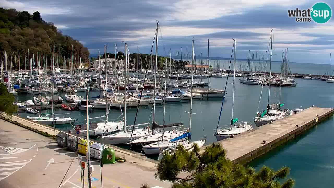 Webcam Sistiana – Marina and Bay Live View