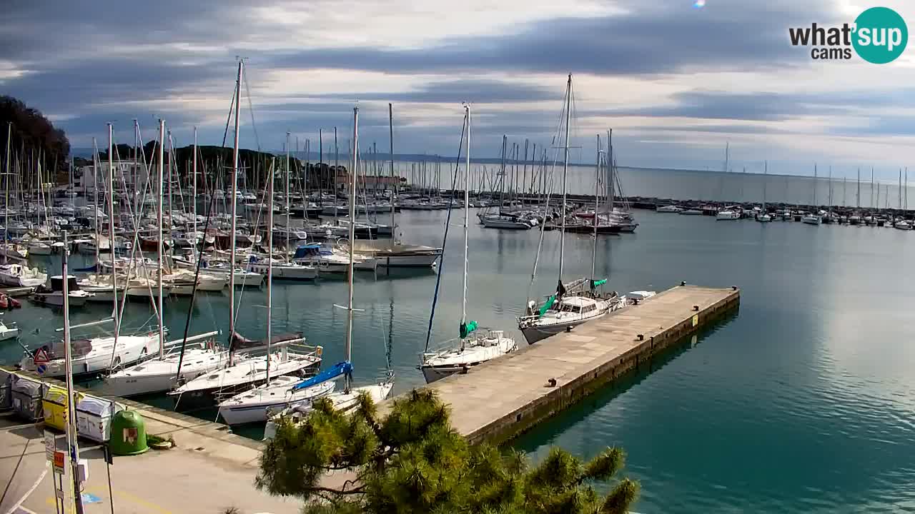 Webcam Sistiana – Pogled na marinu i zaljev