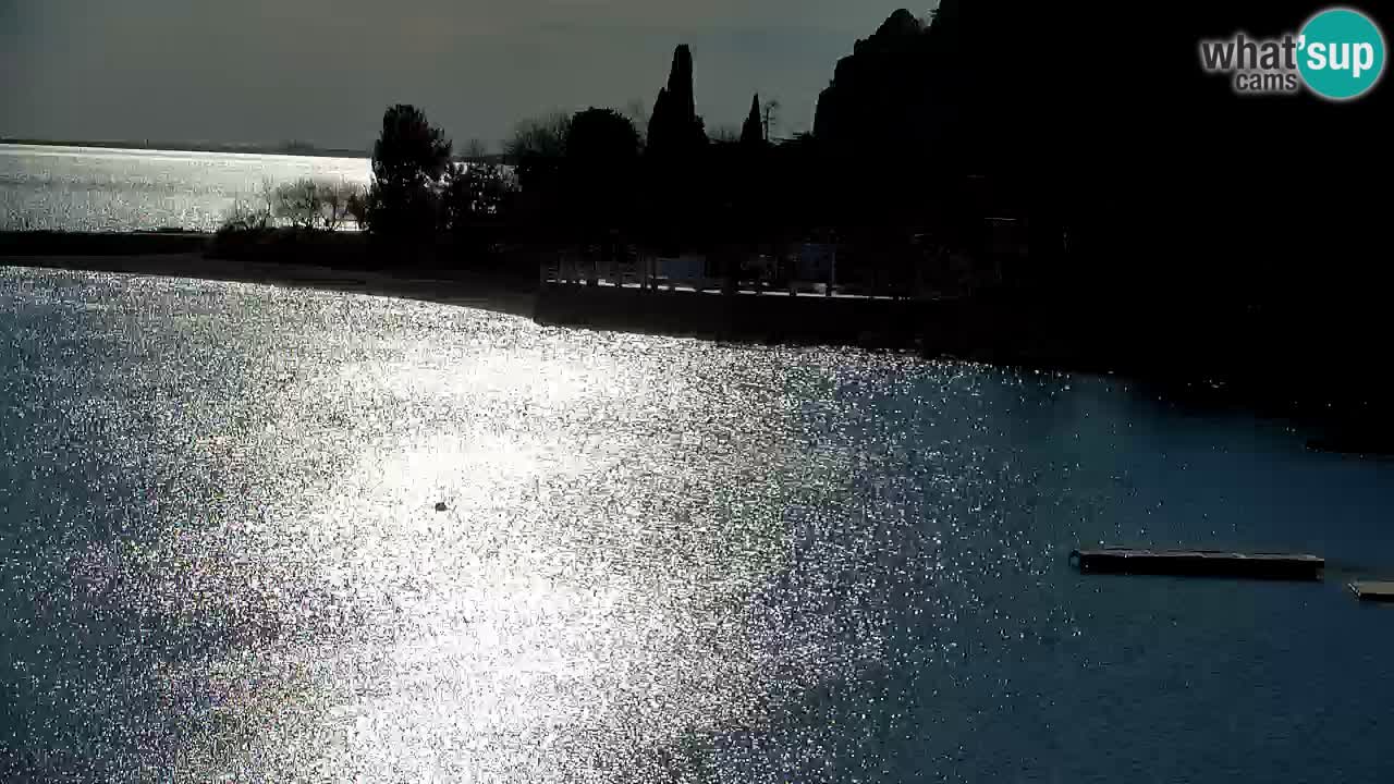 Spletna kamera Sesljan (Sistiana) – Pogled na marino in zaliv