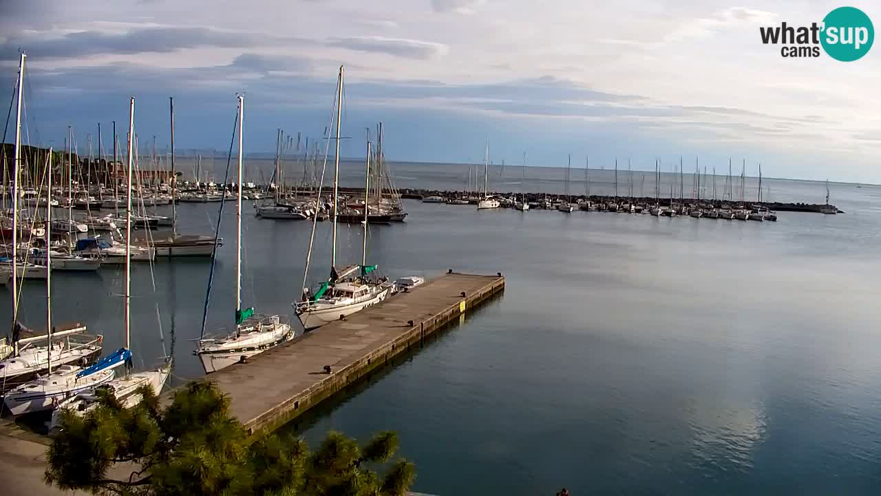 Webcam Sistiana – Vista sobre la marina y la bahía