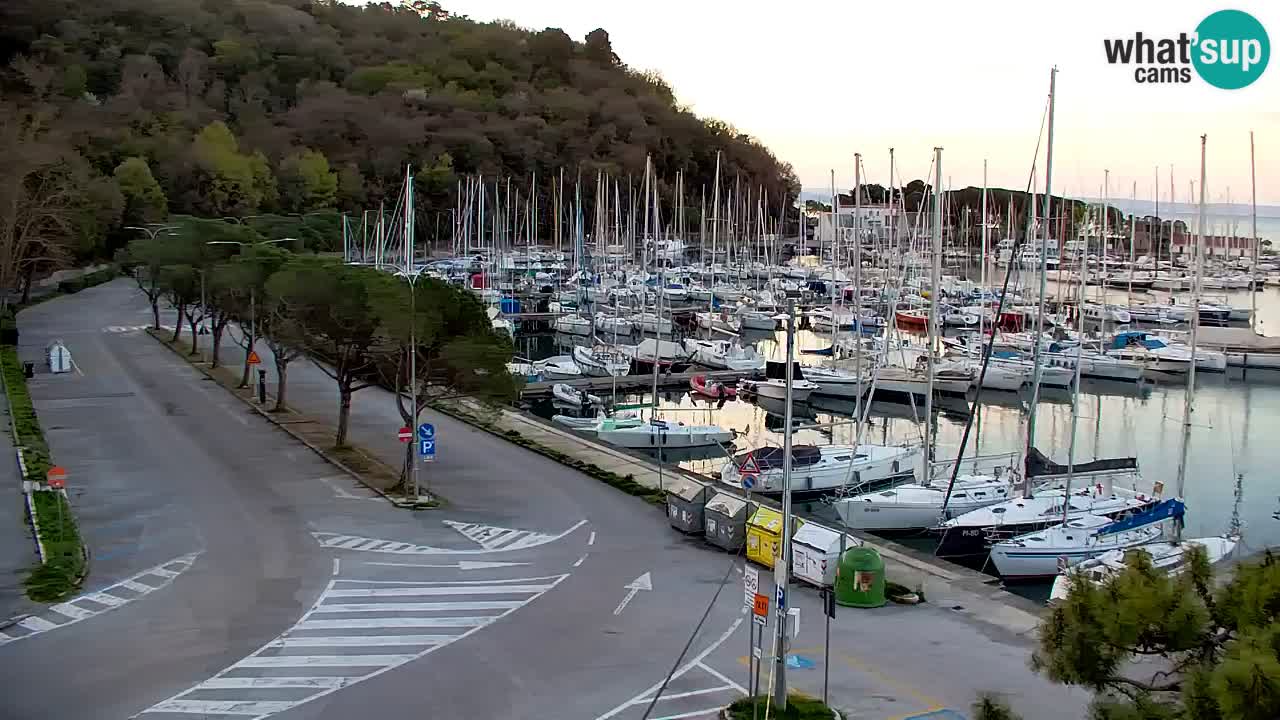 Spletna kamera Sesljan (Sistiana) – Pogled na marino in zaliv