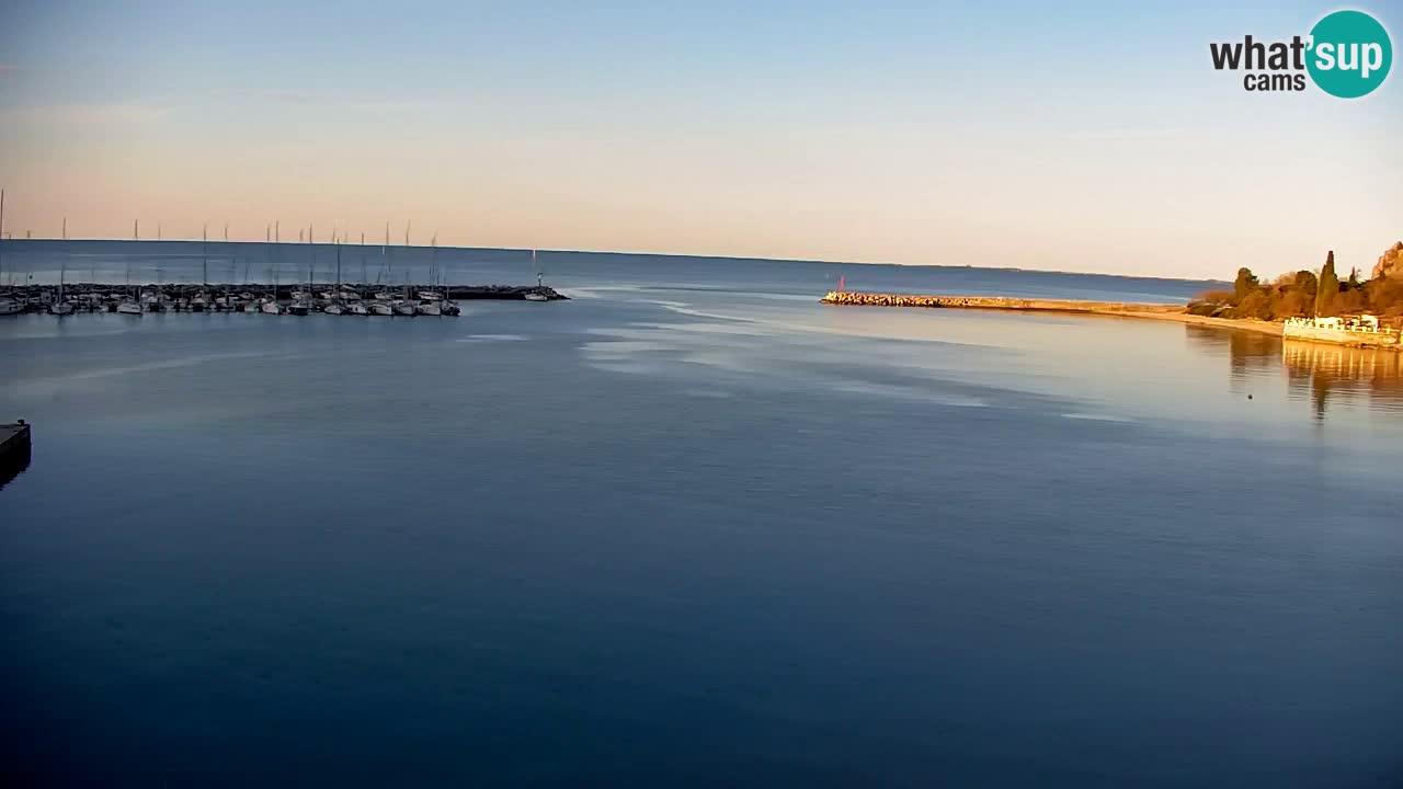 Webcam Sistiana – Marina and Bay Live View