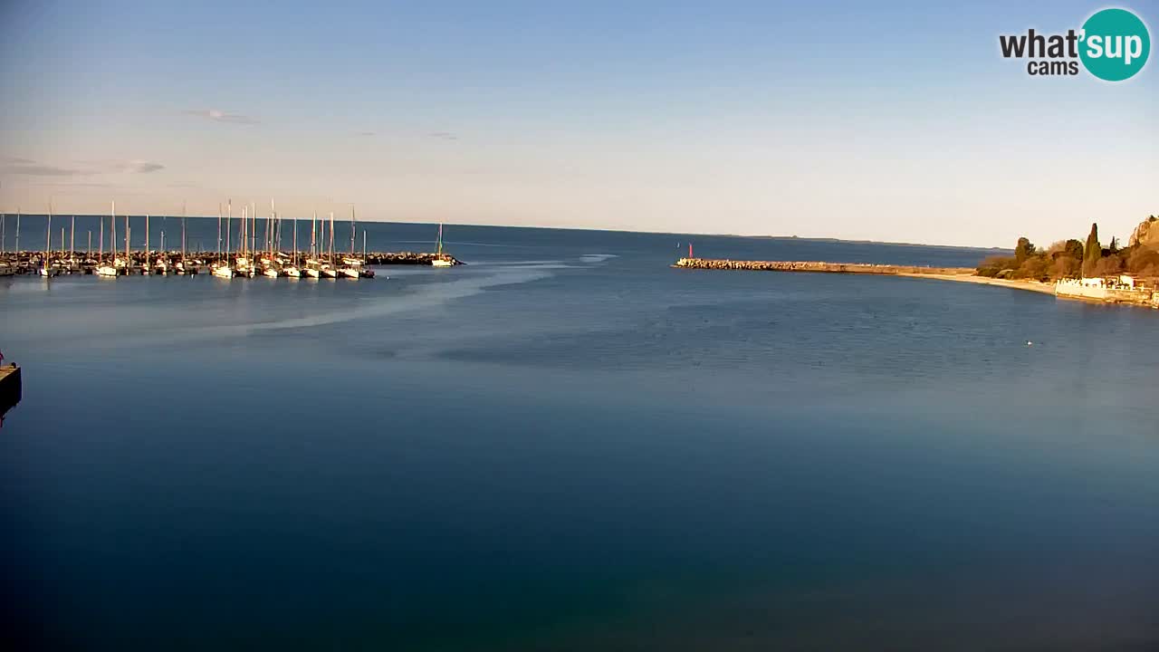 Webcam Sistiana – Marina and Bay Live View