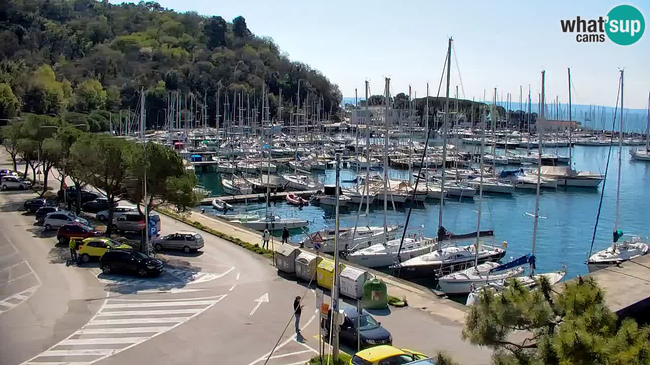 Webcam Sistiana – Marina and Bay Live View