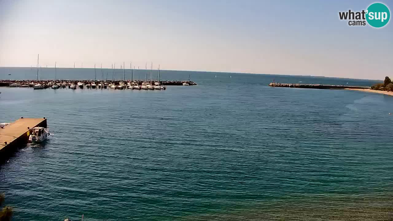 Webcam Sistiana – Marina and Bay Live View