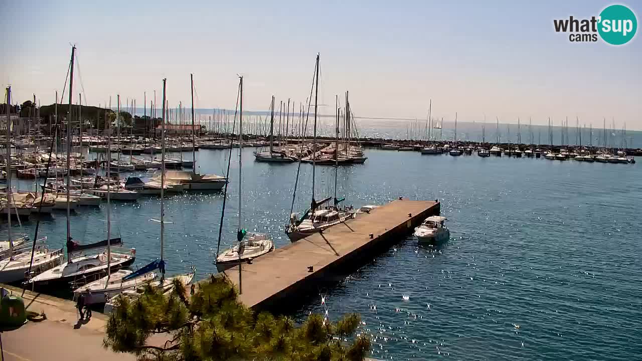 Spletna kamera Sesljan (Sistiana) – Pogled na marino in zaliv
