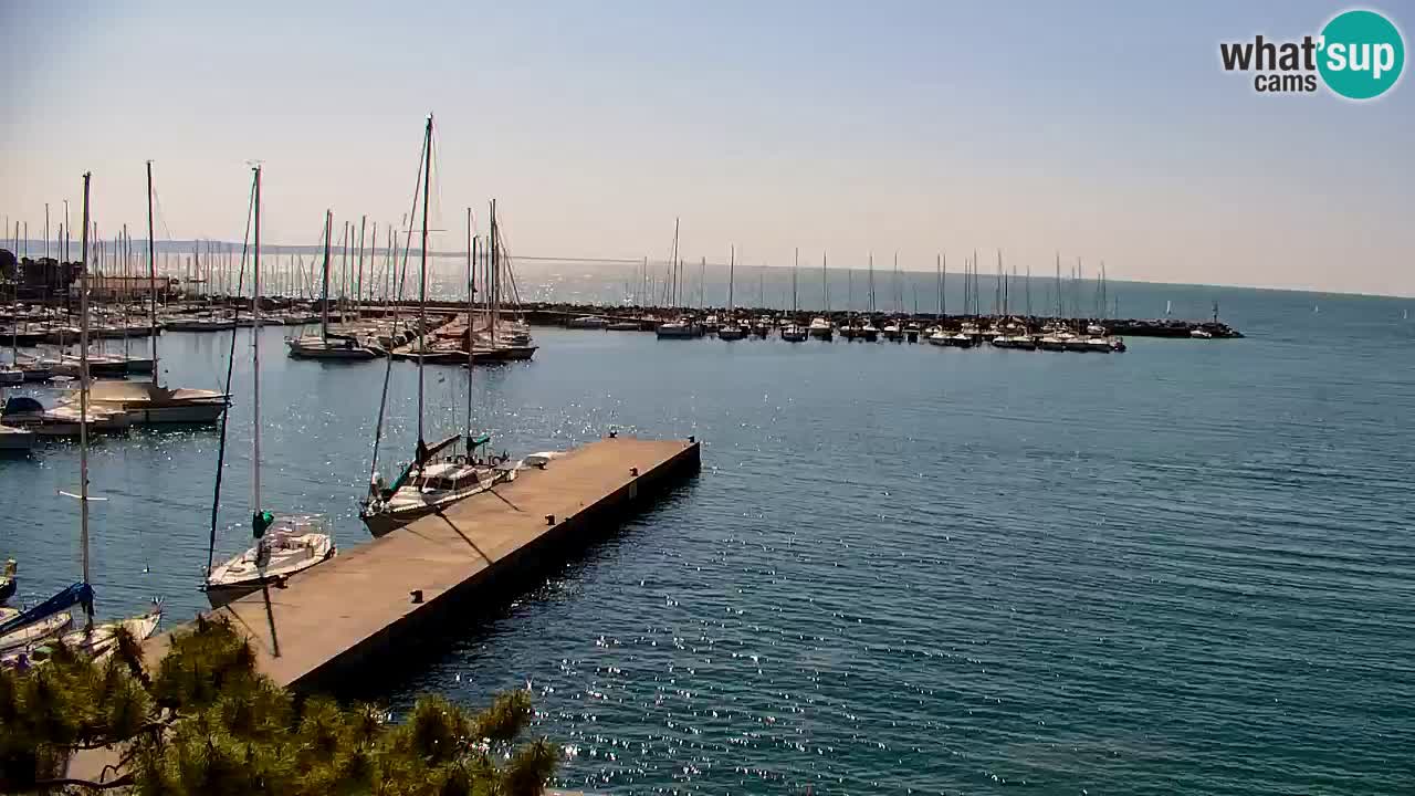 Spletna kamera Sesljan (Sistiana) – Pogled na marino in zaliv