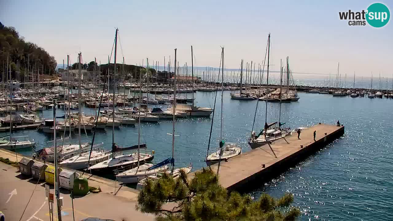 Webcam Sistiana – Pogled na marinu i zaljev