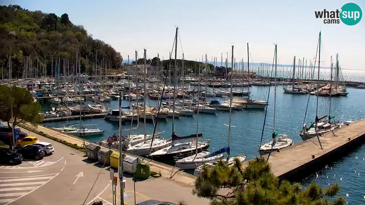 Spletna kamera Sesljan (Sistiana) – Pogled na marino in zaliv