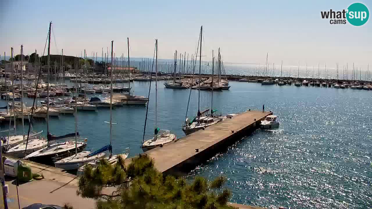 Webcam Sistiana – Marina and Bay Live View