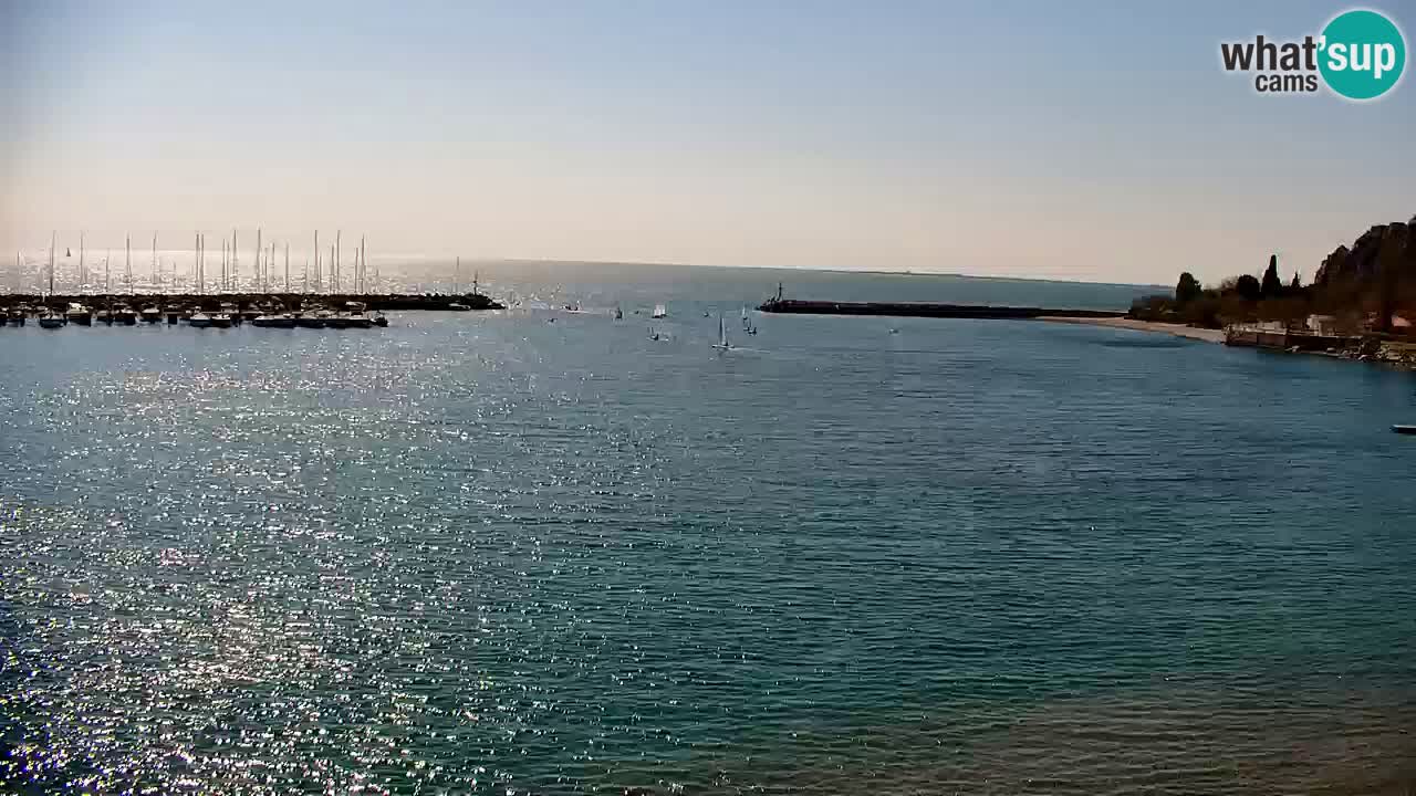 Webcam Sistiana – Pogled na marinu i zaljev