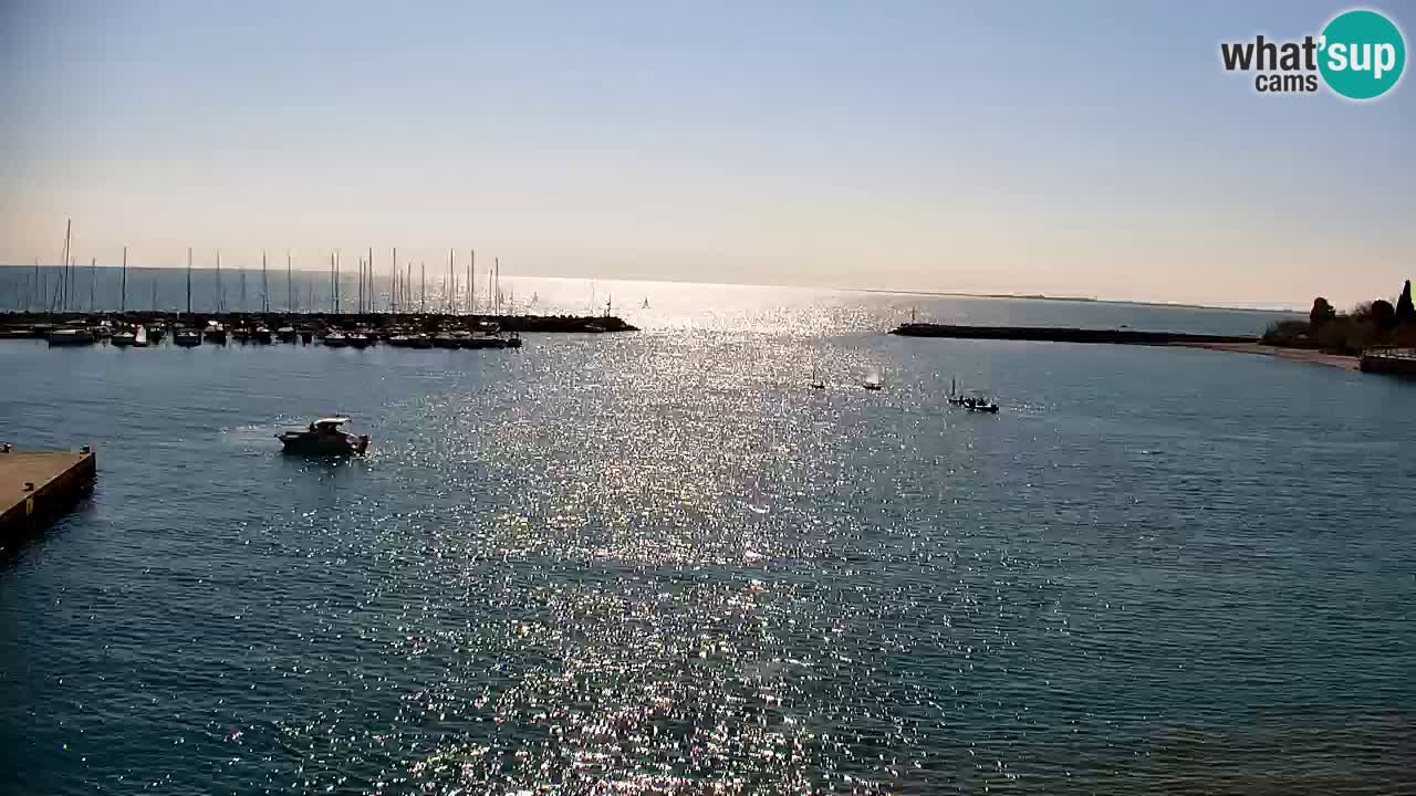 Webcam Sistiana – Pogled na marinu i zaljev